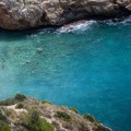 Descubre las mejores capturas frescas del mar Mediterráneo en Valencia
