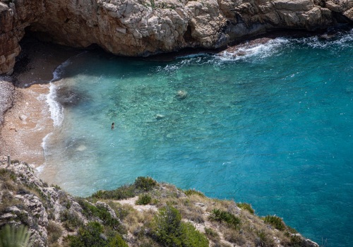 Descubre las mejores capturas frescas del mar Mediterráneo en Valencia